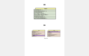 Poule D2 et D4