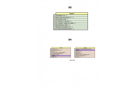 Poule D2 et D4